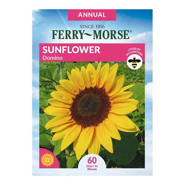 Ferry-Morse Sunflower Domino Flower Seeds