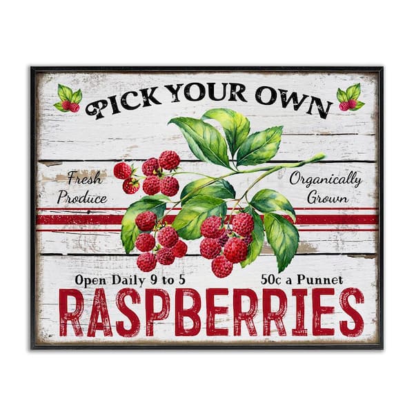 Stupell Industries Pick Your Own Raspberries by Creatif Belle Black Framed Food Giclee Art Print 24 in. x 30 in.
