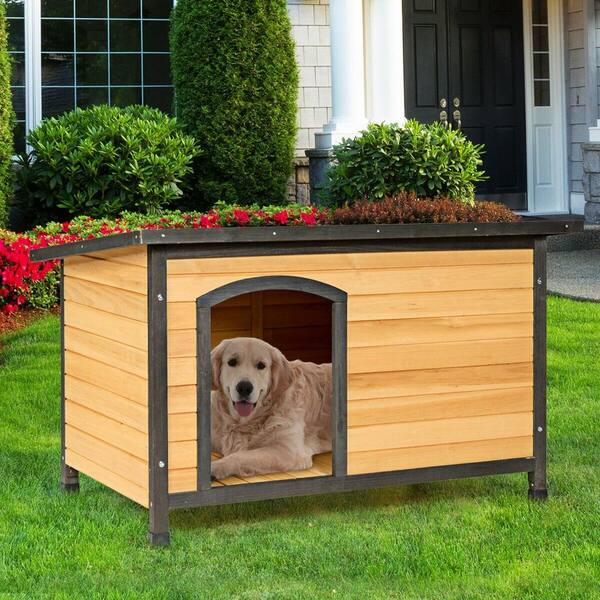 extreme dog crate