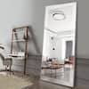 Oversized Silver Plastic Beveled Glass Glam Mirror (70 in. H X 30 in. W)