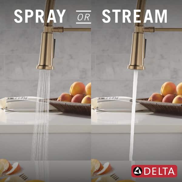 Delta Ermelo Pro Gold Single Handle Pull Down Sprayer Kitchen