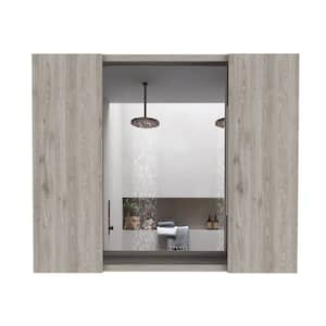 23.6 in. W x 19.5 in. H Rectangular Light Gray Medicine Cabinet with Mirror and Cancealed Shelves