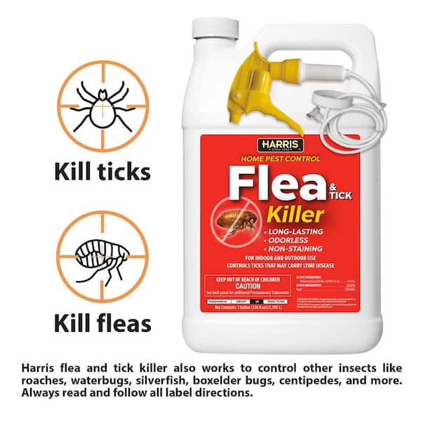 Safer Brand Safer Home Indoor Insecticide Bug Killer Spray for Ants,  Roaches, Spiders, Fleas (24 oz.) SH110 - The Home Depot