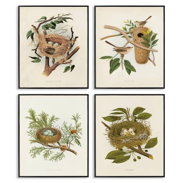Bird Nest Forest Studies by Tina Higgins Designs, Inc. 4-Pieces Black Framed Nature Giclee Art Print 14 in. x 11 in.