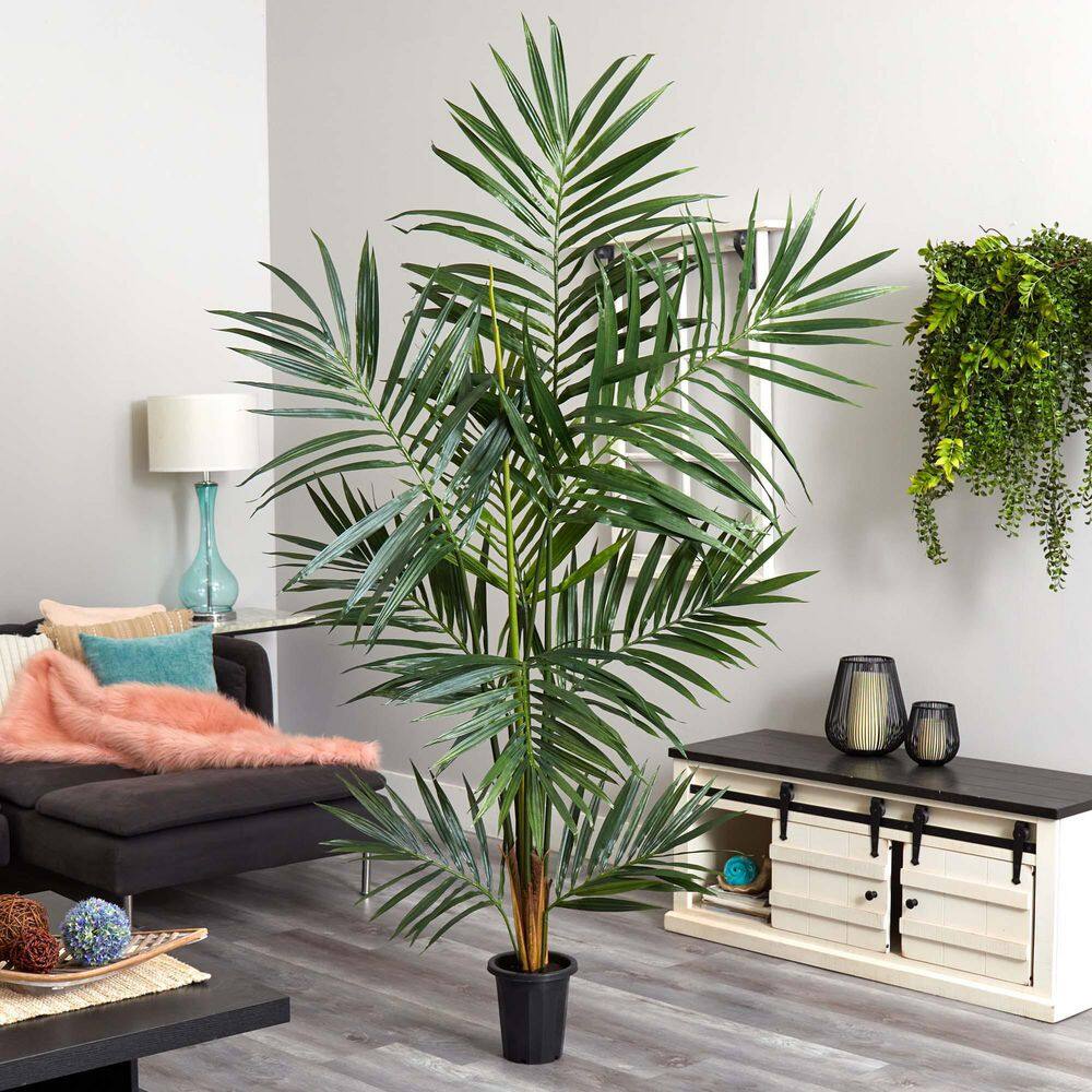 6-ft Green Kentia Palm Silk Tree in Black Plastic Pot