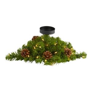 Norfolk Pine Christmas Plants Indoor Christmas Decorations The Home Depot