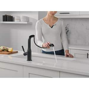 Almari Single Handle Pull Out Sprayer Kitchen Faucet Deckplate Included in Matte Black