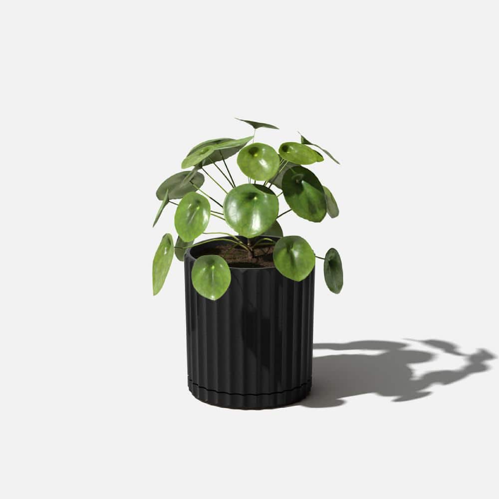 Demi 6" Black Plastic-Stone Fluted Planter