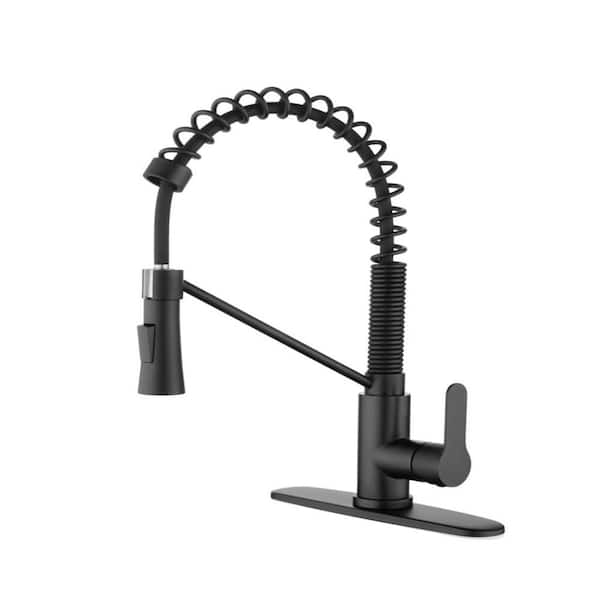1-Handle Vertical Bidet Faucet in Black