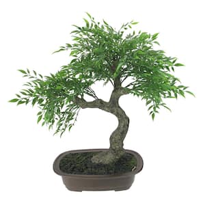 18 in. Green Mini Bonsai Artificial Tree in A Brown Pot