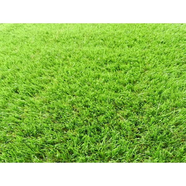 Concord Global Trading 26 in. Wide x Cut to Length Artificial Grass