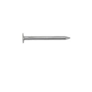 #11 x 1-3/4 in. Electro Galvanized Non-Collated Roofing Nails 25 lbs. (3875-Count)