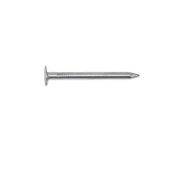 1-3/4 in. x 0.090 in. 15-Degree Ring Shank Stainless Steel Wire Coil Siding  Nails (1200 per pack) S13A175SNBP - The Home Depot | Stainless steel rings, Stainless  steel nails, Stainless steel wire