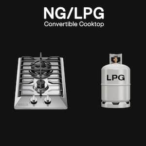 12 in. Gas Cooktop in Stainless Steel with 2 Sealed Burners LPG Convertible Stove