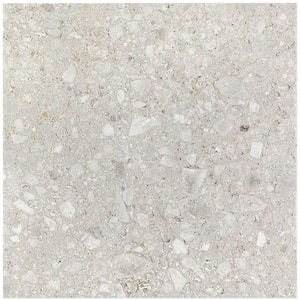 Rizzo Light Gray 4 in. x 8 in. x 9 mm Semi Polished Porcelain Floor and Wall Tile Sample