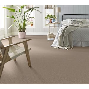 Urban Artifact I - Sandstorm - Brown 46.8 oz. Nylon Texture Installed Carpet