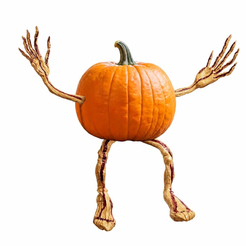 Halloween Pumpkin Arms and Legs Set Decorations price history on PriceWatchPro