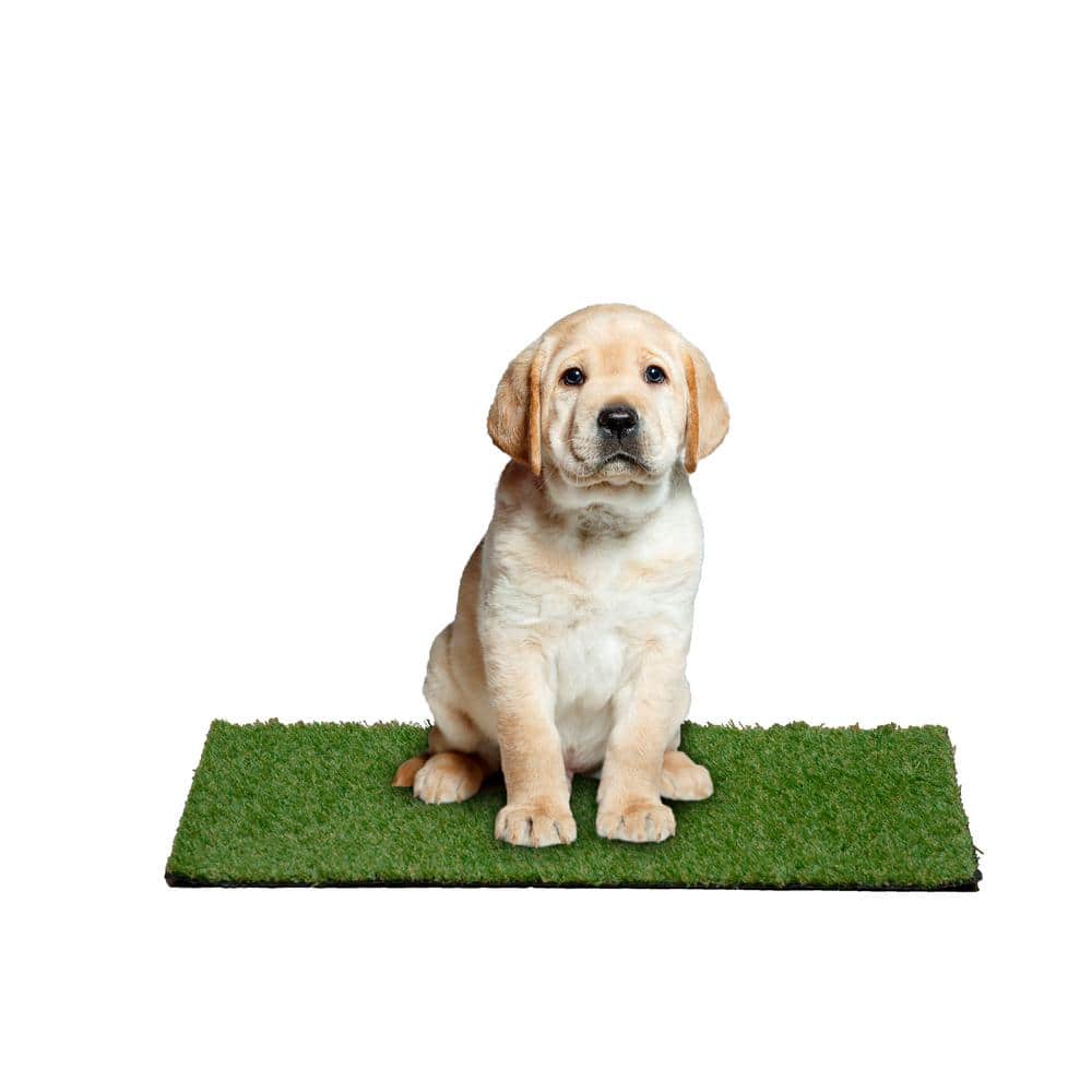 Green Artificial Grass Puppy Pee Pad with Drainage Holes