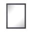 OVE Decors Tahoe 28 in. W x 36 in. H Framed Wall Mirror in Almond Latte ...