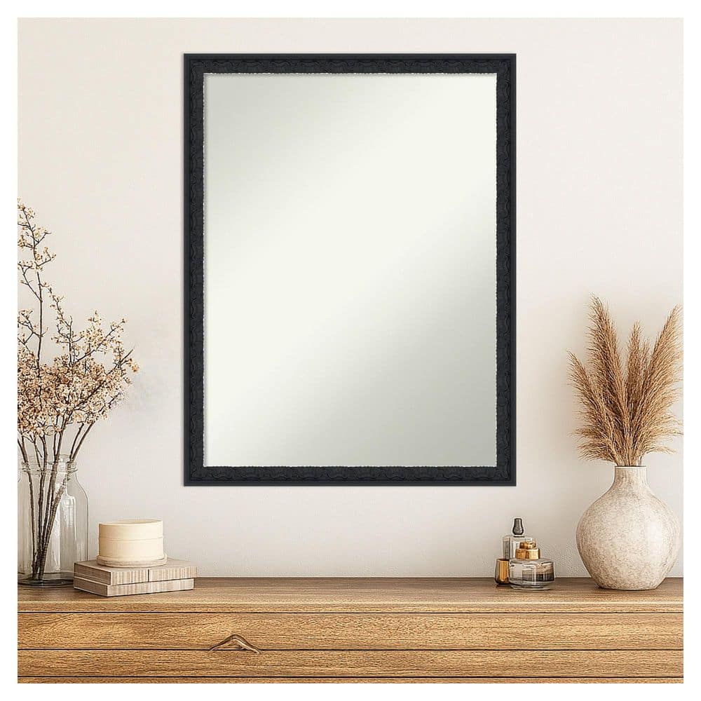 Bethany Black 20 in. x 26 in. Non-Beveled Traditional Rectangle Wood Framed Wall Mirror price history on PriceWatchPro