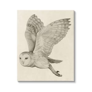 Flying Barn Owl Wings Detailed Monochrome Drawing By Grace Popp Unframed Animal Art Print 40 in. x 30 in.
