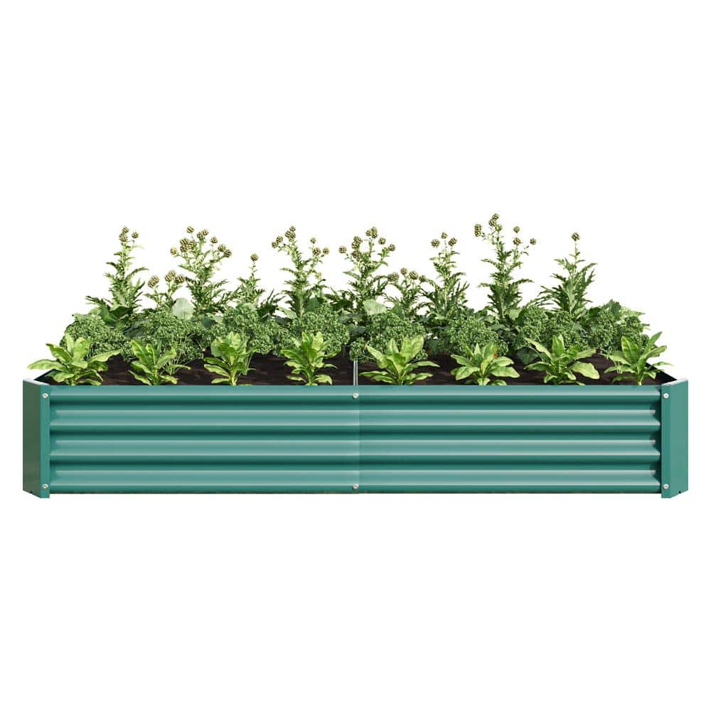 Zeus & Ruta 6 x 3 x 1 ft. Green Metal Outdoor Raised Garden Bed ...