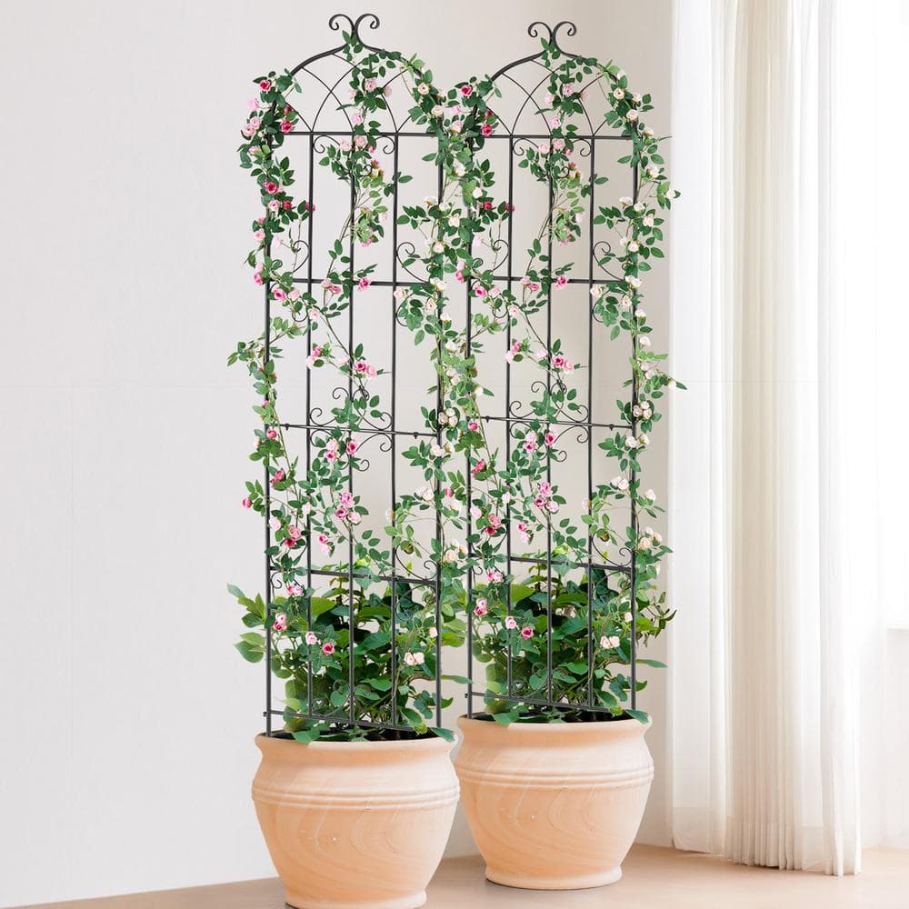 Black Powder-Coated Metal Garden Trellis Set for Climbing Plants