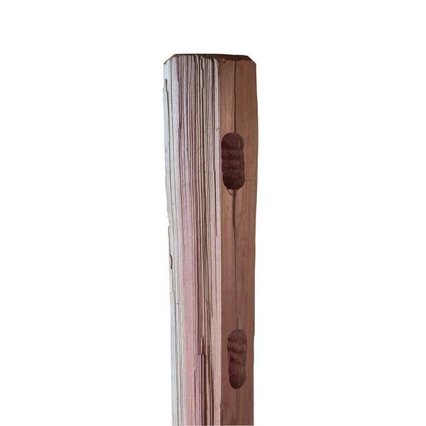 4 In X 4 In X 4 Ft 2 Hole Western Red Cedar Split Rail Fence End Post 246254 The Home Depot 4 In X 4 In X 4 Ft 2 Hole Western Red Cedar Split Rail Fence End Post 246254 The Home Depot