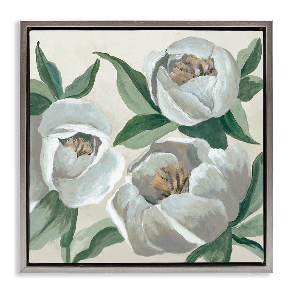 Round White Peonies by Jacob Q Gray Floater Frame Nature Graphic Art Print 18 in. x 18 in. price history on PriceWatchPro