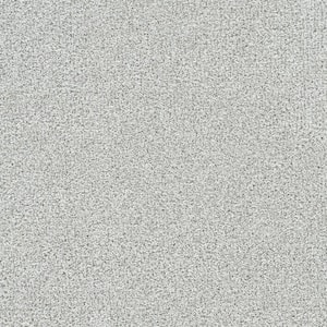 Evermore III - Everlasting Silver - 65 Oz. SD Polyester Texture Installed Carpet