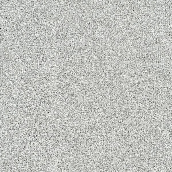 Evermore III - Everlasting Silver - 65 Oz. SD Polyester Texture Installed Carpet