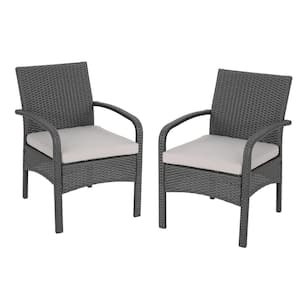 Lena Gray Stationary Faux Rattan Outdoor Patio Lounge Chair with Silver Cushion (2-Pack)