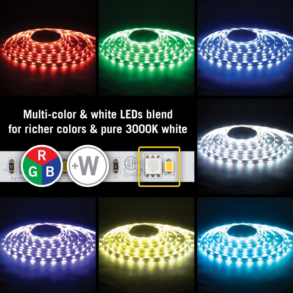 RibbonFlex Pro 24V RGB+W LED Tape Light with Remote