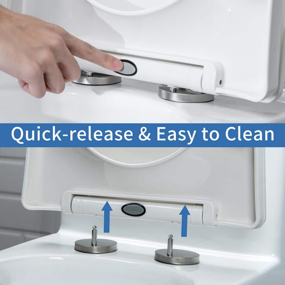 White Ceramic Dual-Flush Elongated One-Piece Toilet with Comfort Seat