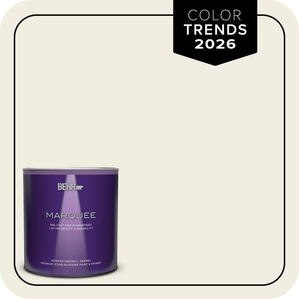 1 qt. Designer Collection #DC-003 Blank Canvas Eggshell Enamel Interior Paint & Primer price history on PriceWatchPro
