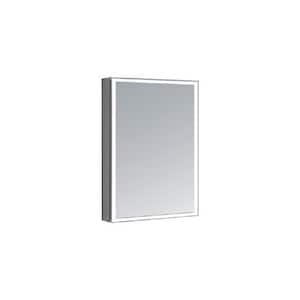 Edge Royale 20 in. W x 32 in. H Rectangular Silver Recessed/Surface Mount Medicine Cabinet with Mirror and LED Lighting