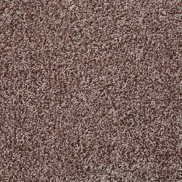 Charming - Coffee Bean - Brown 24 oz. Polyester Twist Installed Carpet