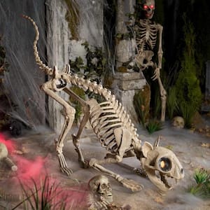 Home Accents Holiday H21 5 feet Long Grave & Bones LED Skelly's Cat