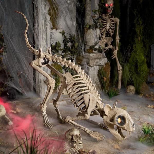 5 ft. Long Grave & Bones LED Skelly's Cat H21