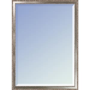 30 in. W x 20 in. H Wood Versailles Silver Salon Framed Modern Rectangle Decorative Mirror