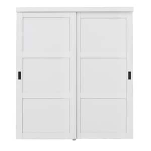 EH PUERTA 60 in. x 80 in. Paneled 1-Lite Blank Pattern White