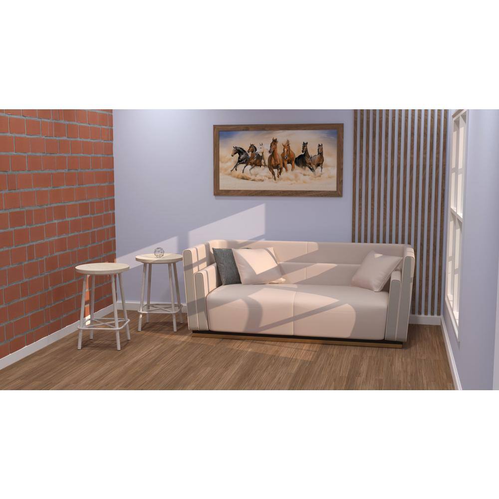 Ilona 24" Whitewash Mango Wood and Iron Counter Stools Set