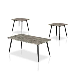 Danya 3-Piece 44 in. Gray Large Rectangle Wood Coffee Table Set