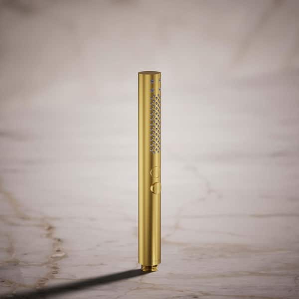 Shift Plus 2-Spray Patterns 1.13 in. Wall Mount Handheld Shower Head 1.75 GPM in Vibrant Brushed Moderne Brass