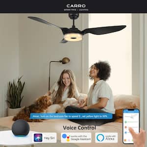 Finley 56 in. Dimmable LED Indoor Black Smart Ceiling Fan with Light and Remote, Works with Alexa and Google Home