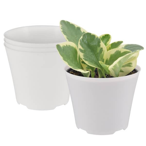 terra cotta planter pot Black and TerraCotta Eco Pots  House Plant Shop
