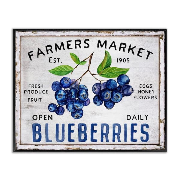 Farmers Market Blueberries by Creatif Belle Black Framed Food Giclee Art Print 11 in. x 14 in.