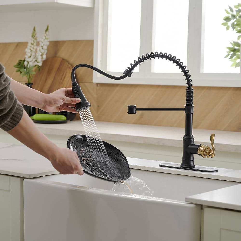 Matte Black and Gold High-Arc Kitchen Faucet with Pull-Out Spray