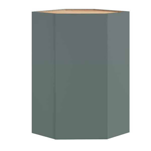 Hargrove 24 in. W x 12 in. D x 42 in. H Assembled Plywood Wall Corner Kitchen Cabinet in Verdant Green with Soft Close