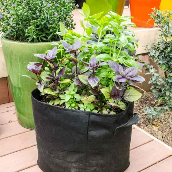 How to Garden with Grow Bags - The Home Depot